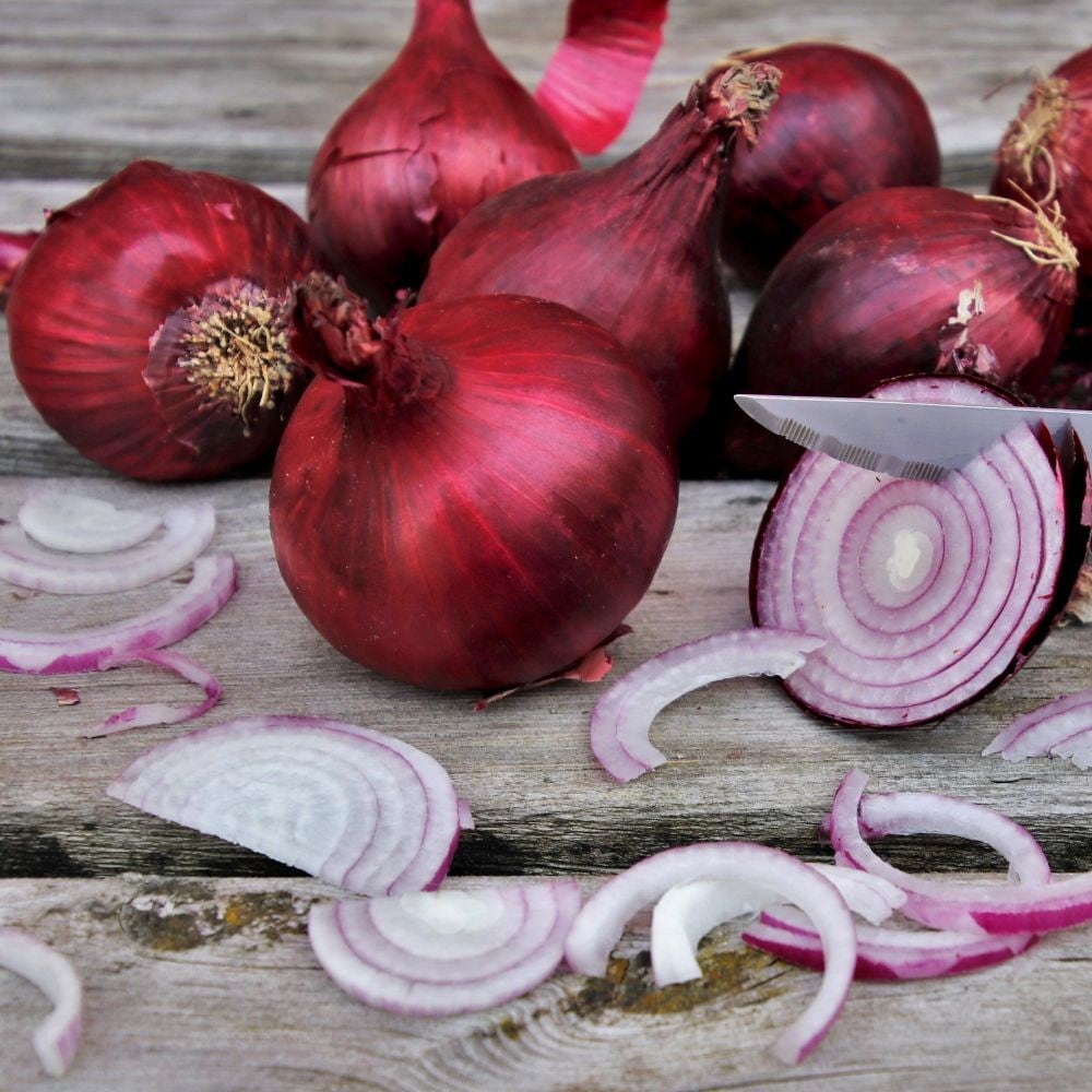 shallot 'Biztro' (PBR)