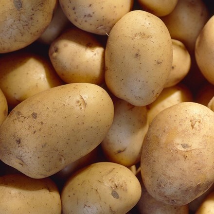 potato Carlingford (PBR)