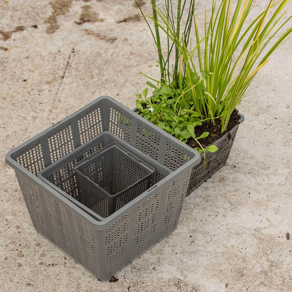 Pond plant basket