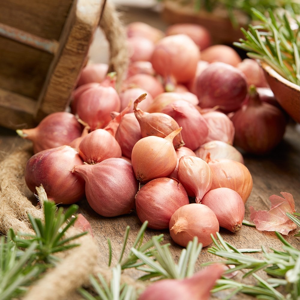 Product options image