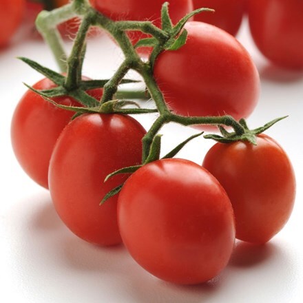 Picture of tomato Topsy Tom