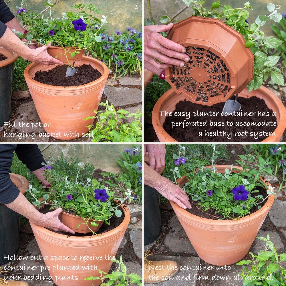 Berries & Cream - Easyplanter for hanging baskets & patio pots