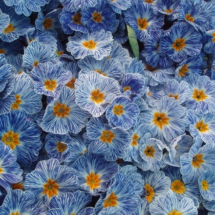 Picture of Primrose Zebra Blue