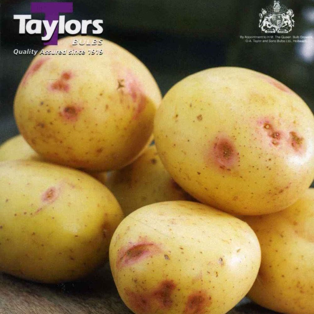 Product options image