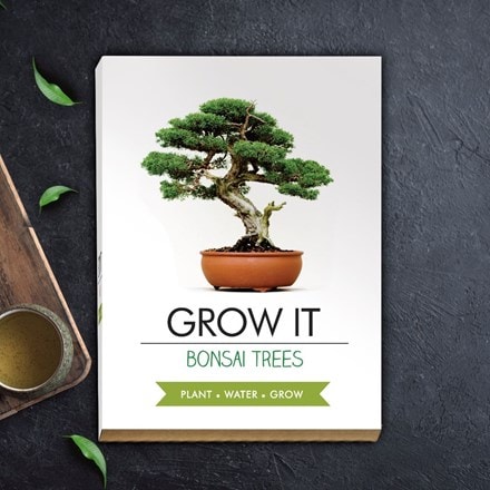 Picture of Grow It - Bonsai