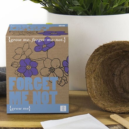Picture of Forget me not - grow me kit