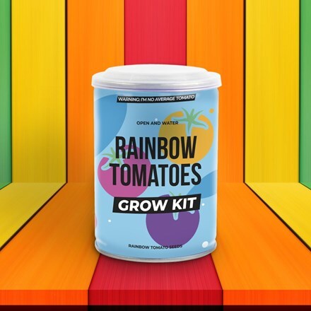Picture of Rainbow tomatoes - grow kit