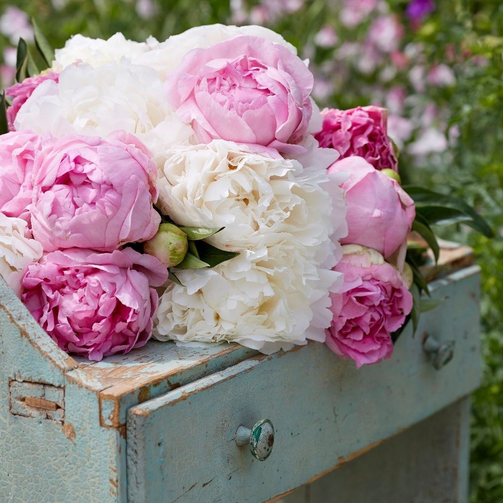 Product options image