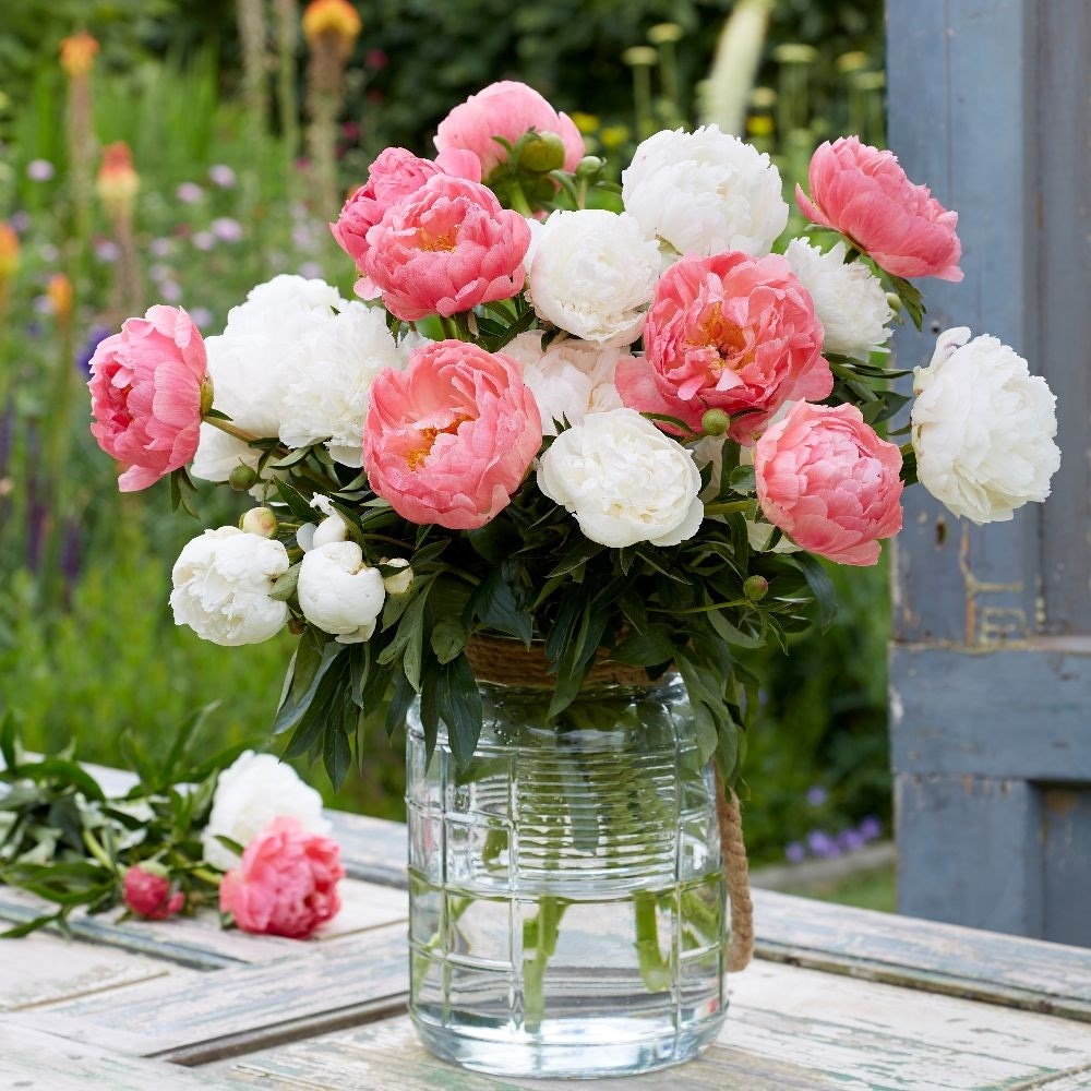 Product options image