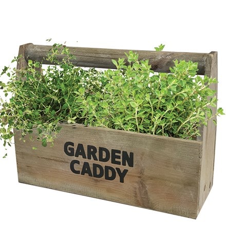 Herb garden caddy gift set