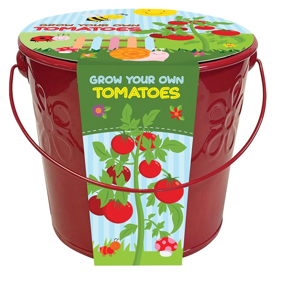 Children's grow bucket tomato