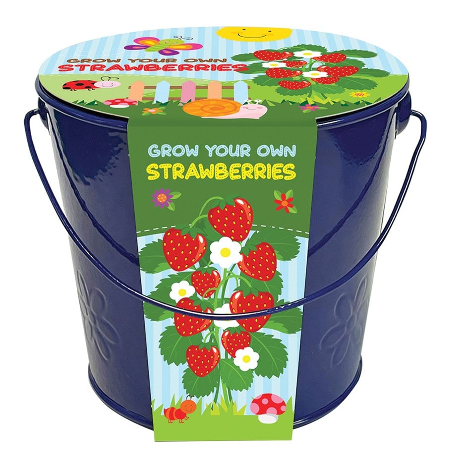 <i>childrens grow bucket</i> 'strawberry'