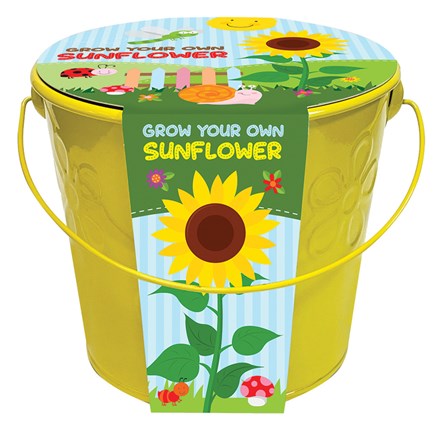 childrens grow bucket sunflower