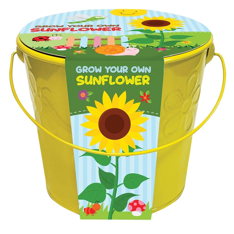 <i>childrens grow bucket</i> 'sunflower'