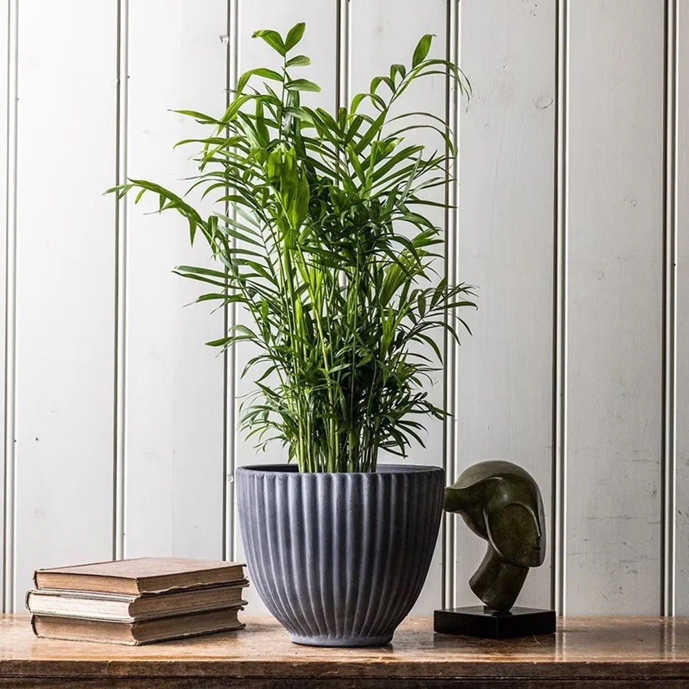 Product options image