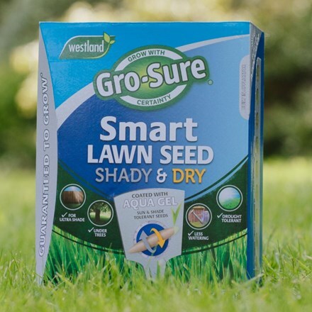 Gro-sure smart tough (dry and shady) lawn seed