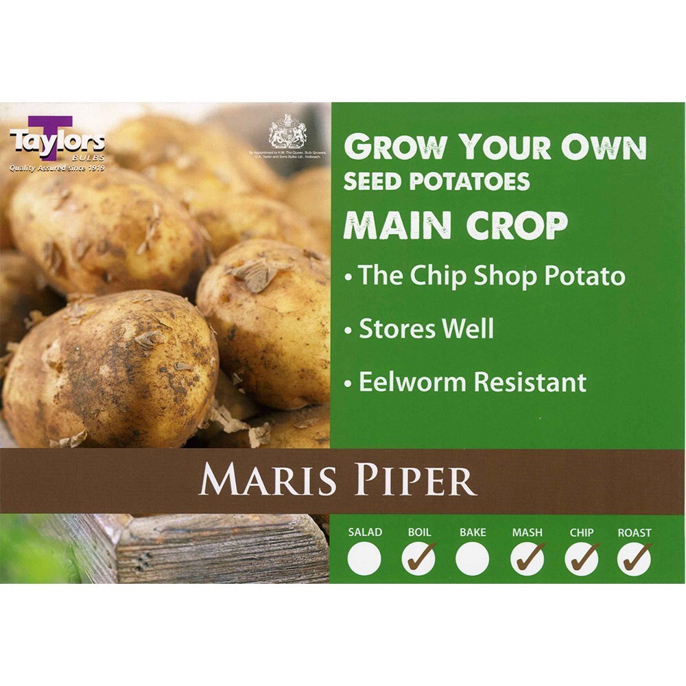 <i>potato</i> 'Maris Piper'
