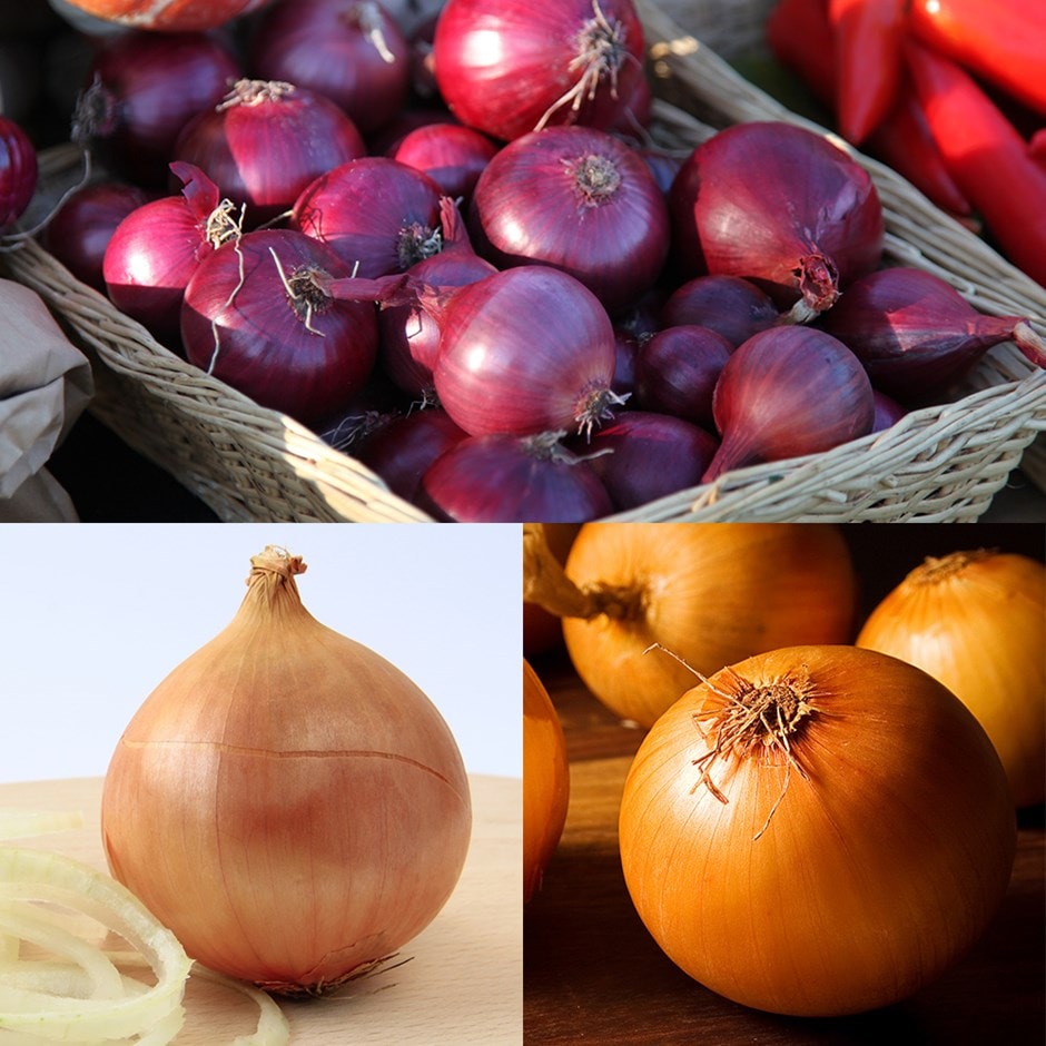 Award-winning onion collection