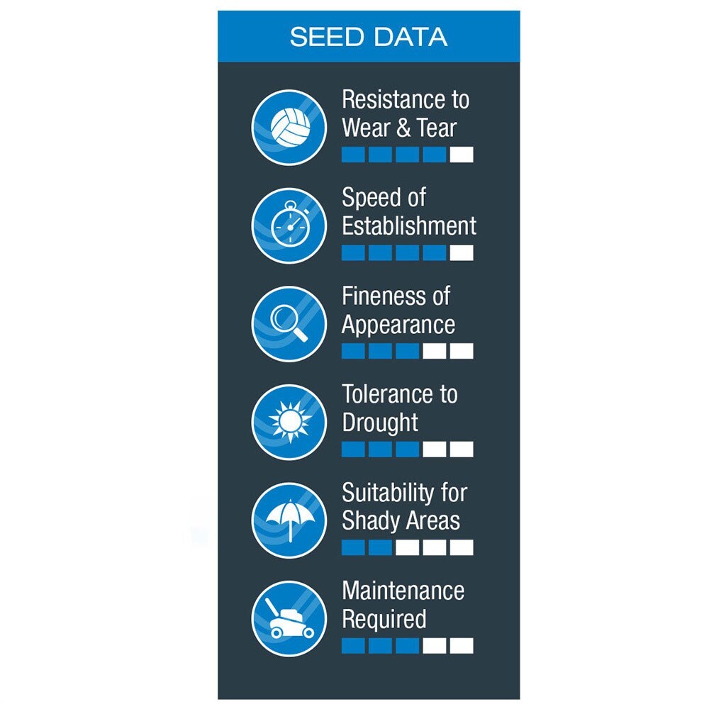 Buy lawn grass seed "PatchPack" Johnsons General purpose lawn seed £5