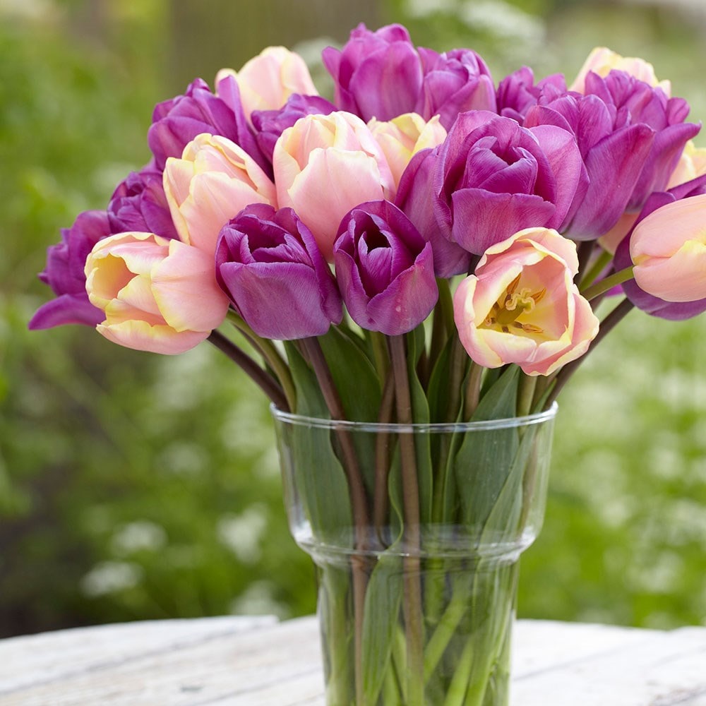 Product options image