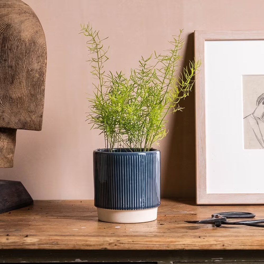 Product options image