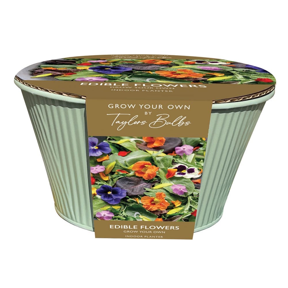 Product options image