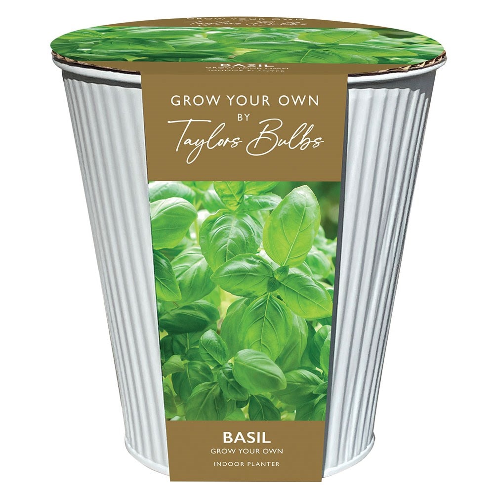 Buy gift set indoor basil gift set Delivery by Waitrose Garden