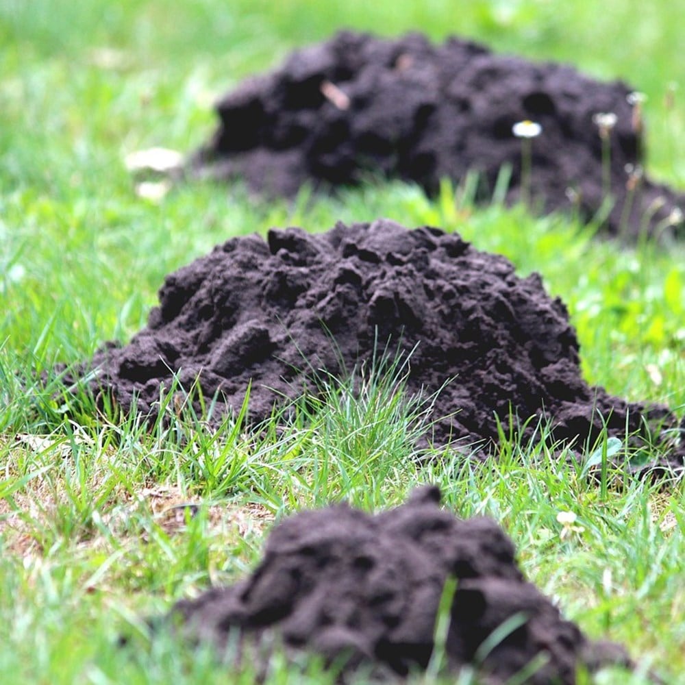 Product options image