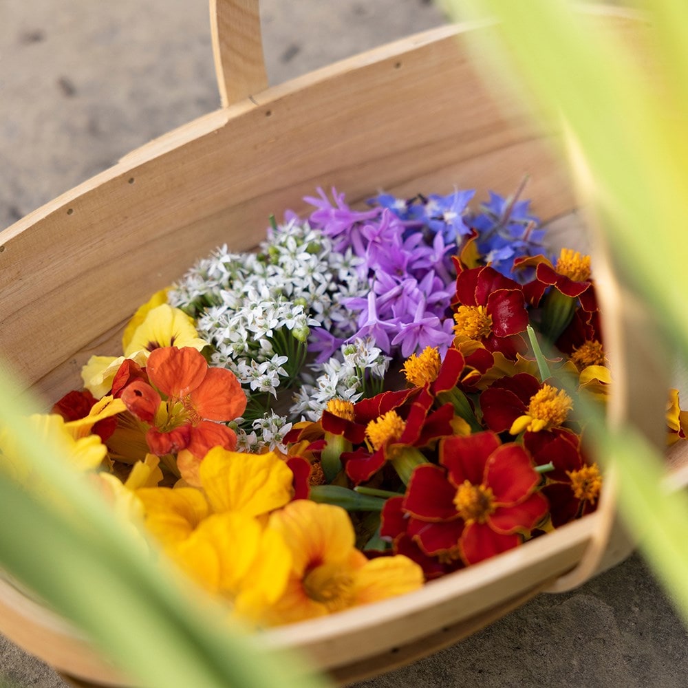 Product options image