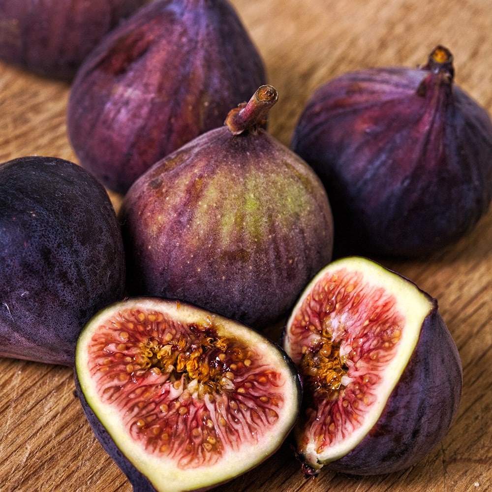 fig Violette Dauphine (syn. Ficus carica 'Grise de Tarascon'