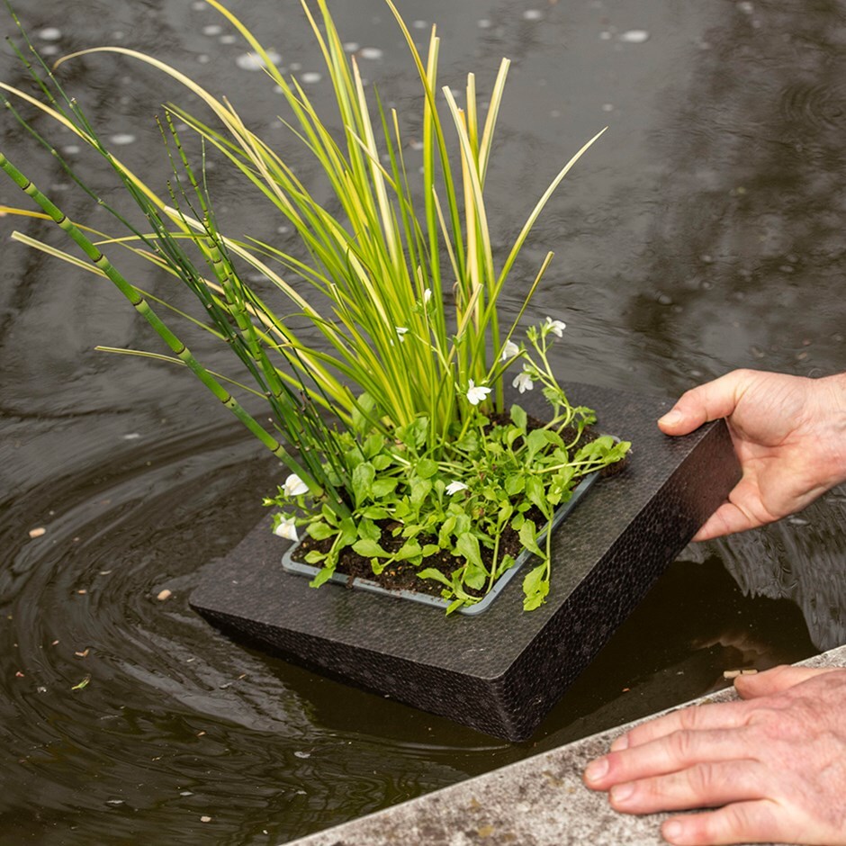 Floating island for shallow water plants