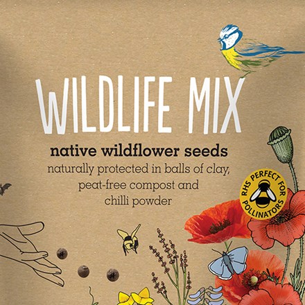 Seedballs native wildflowers for wildlife - seedbombs