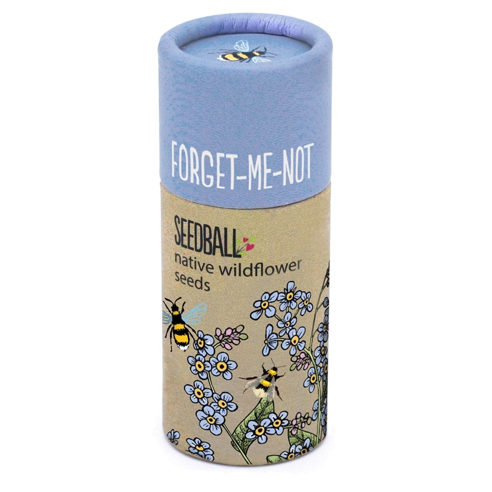 Seedballs forget-me-not