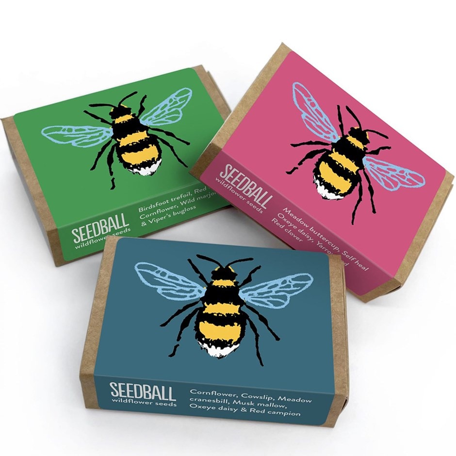 Seedballs bee matchboxes