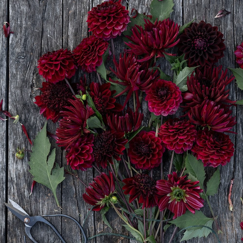 Product options image