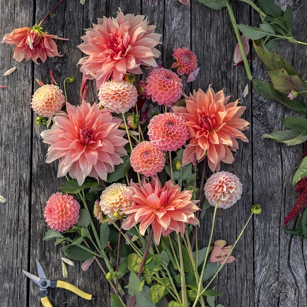 Product options image