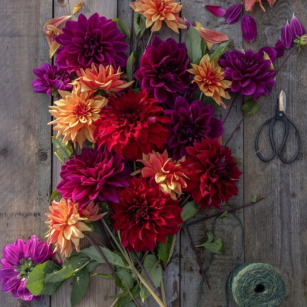 Product options image