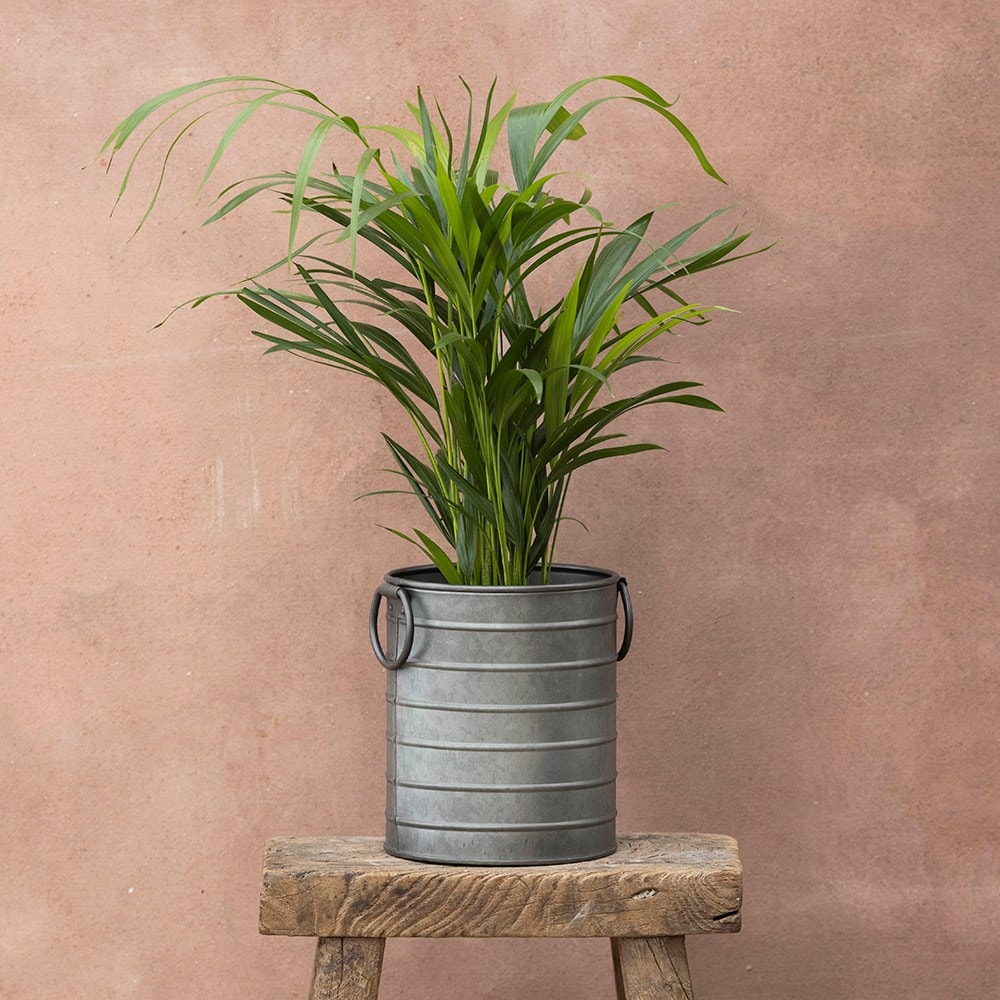 Product options image