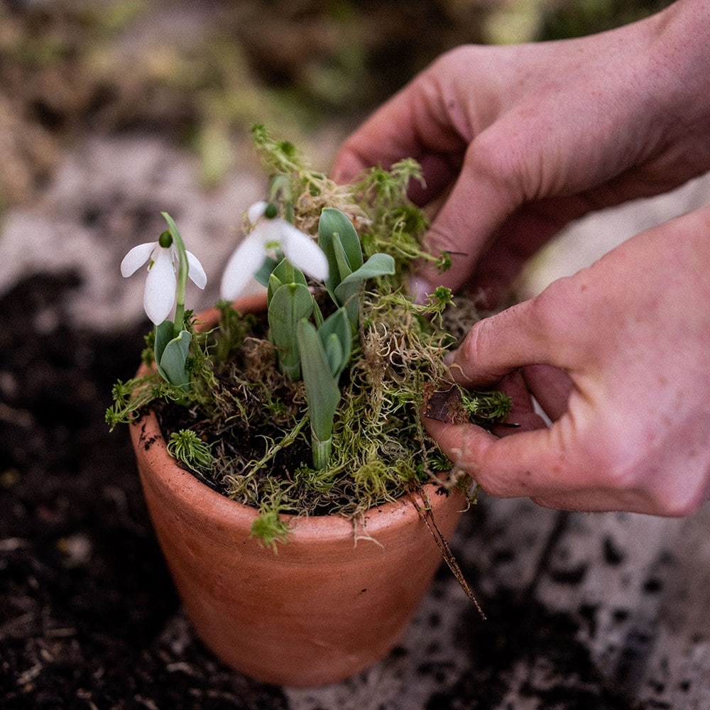 Product options image