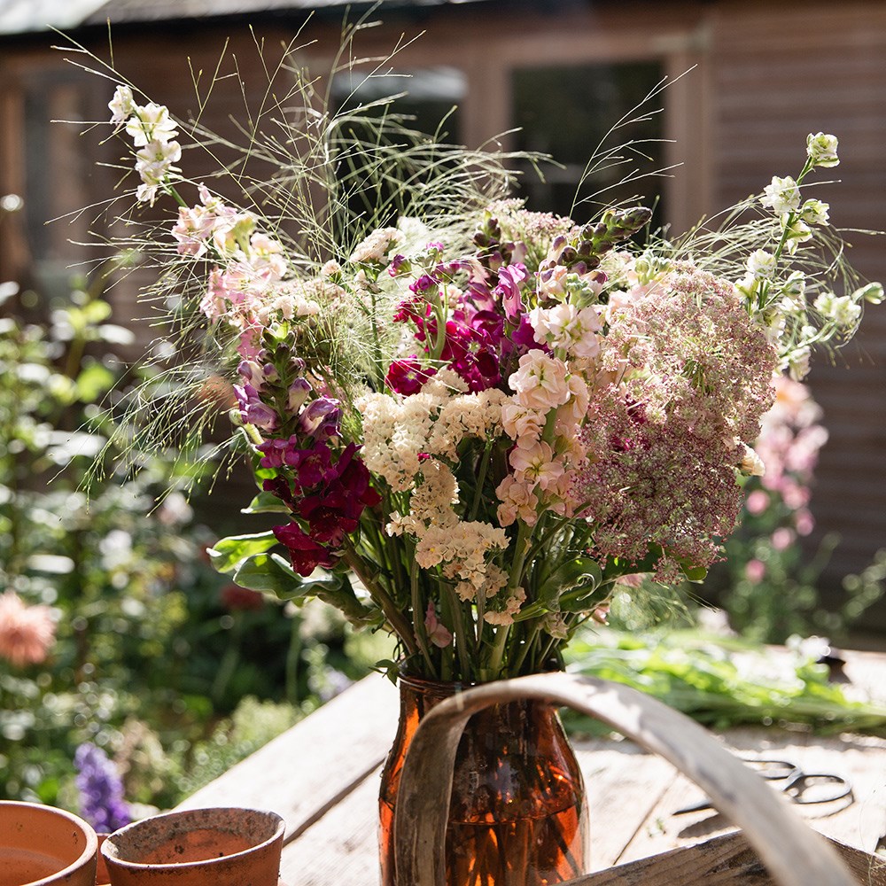 Product options image