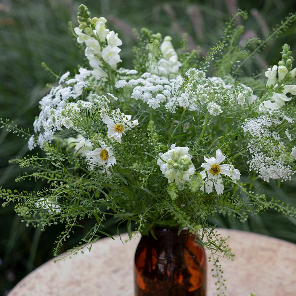 Elegant cutting garden collection