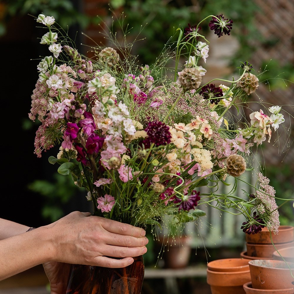 Product options image