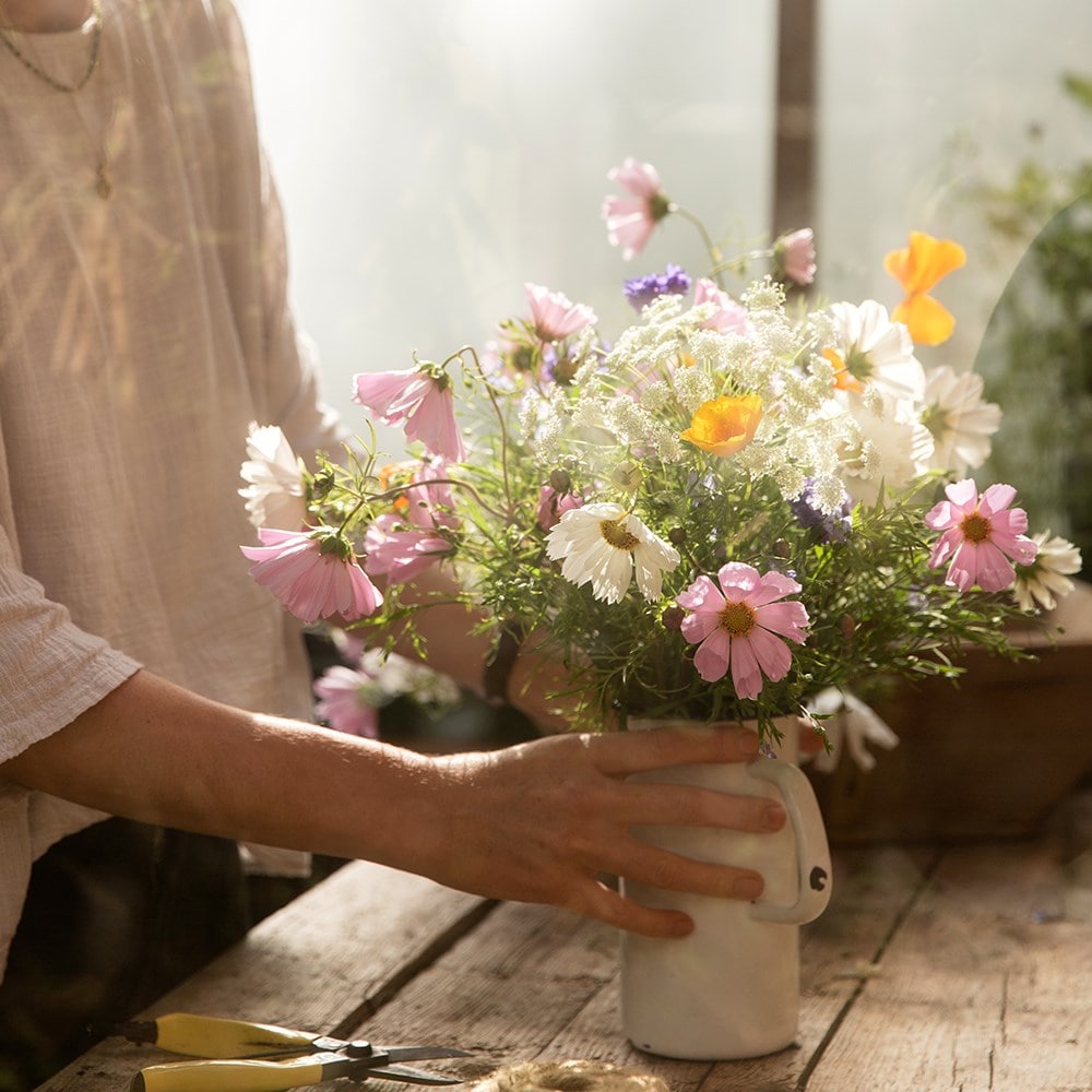 Product options image