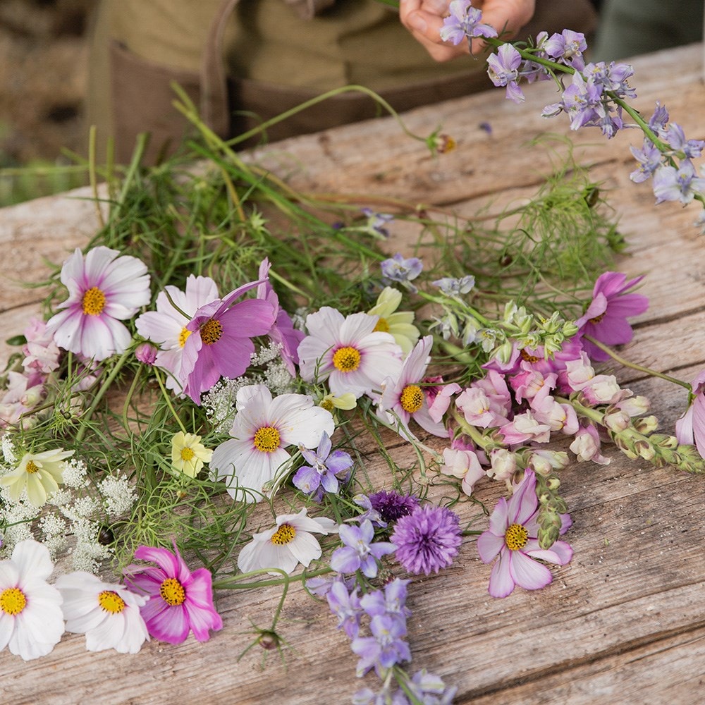 Product options image