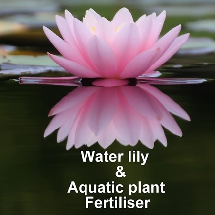 Water lily and aquatic plant plant fertiliser
