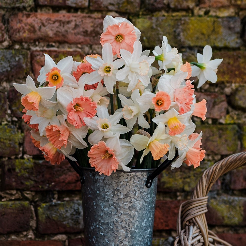 Product options image