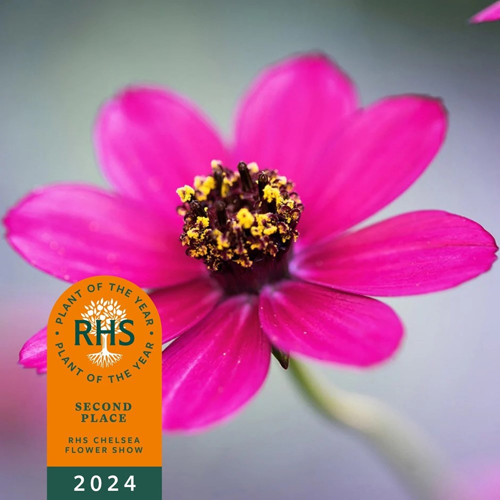 Product options image