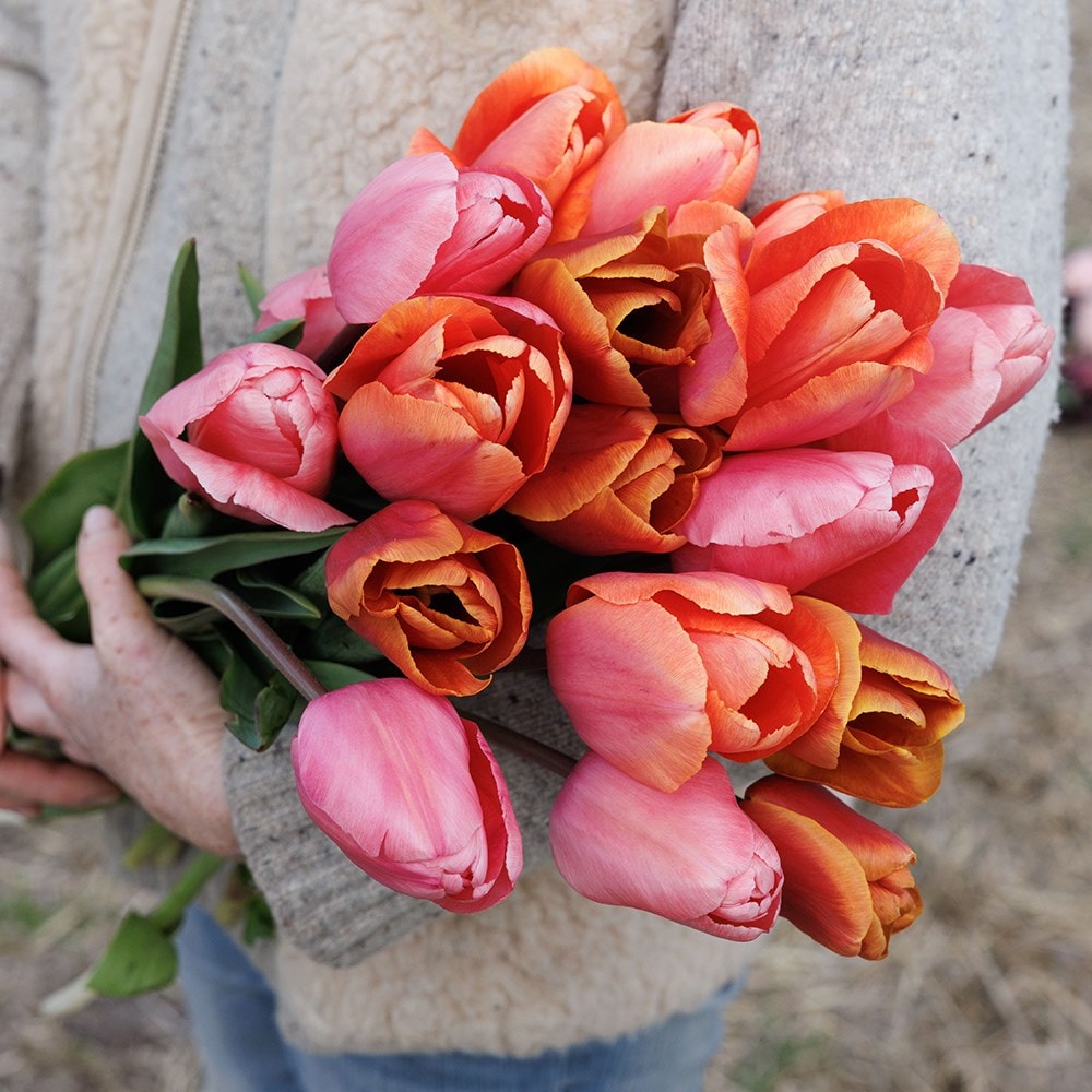 Product options image