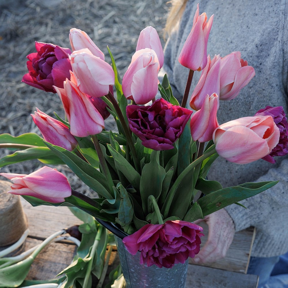 Product options image