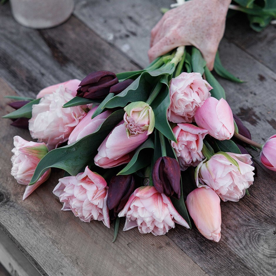tulip collection